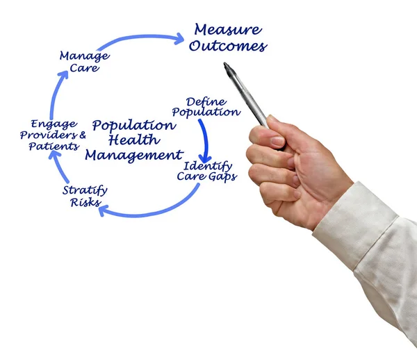 Components Population Health Management — Stock Photo, Image