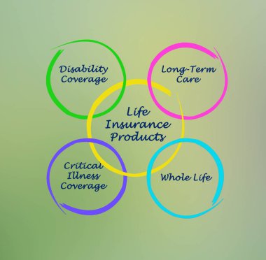 Dört Hayat Sigortası Ürünleri