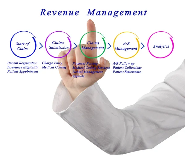 Bestandteile Des Revenue Management Prozesses — Stockfoto