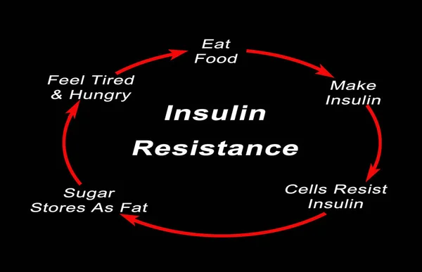 Development Insulin Resistance — Stock Photo, Image