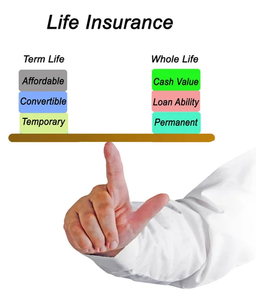 Två Typer Livförsäkring — Stockfoto