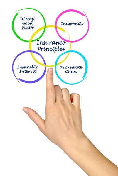 Prezentace Čtyři Principy Pojištění — Stock fotografie