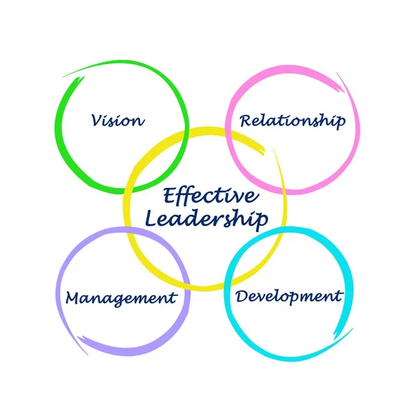 Components Effective Leadership — Stock Photo, Image