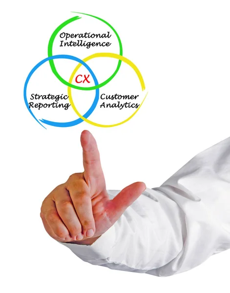 Presenting Customer Analytics — Stock Photo, Image