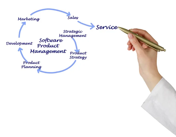 Componenten Van Software Product Management — Stockfoto