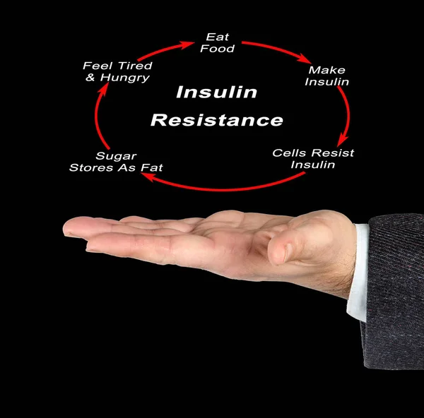 Cyklus Inzulinové Rezistence — Stock fotografie