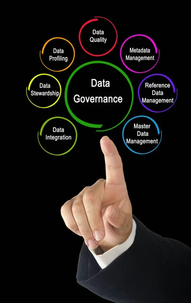 Components Data Governance — Stock Photo, Image