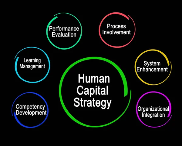 Sechs Humankapitalstrategien — Stockfoto