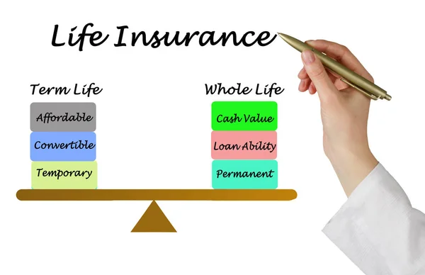 Presentera Livförsäkring Principer — Stockfoto