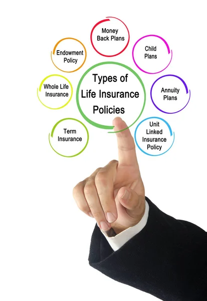 Types Life Insurance Policies — Stock Photo, Image