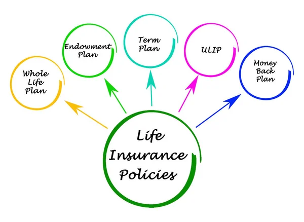 Cinco Políticas Seguro Vida — Fotografia de Stock