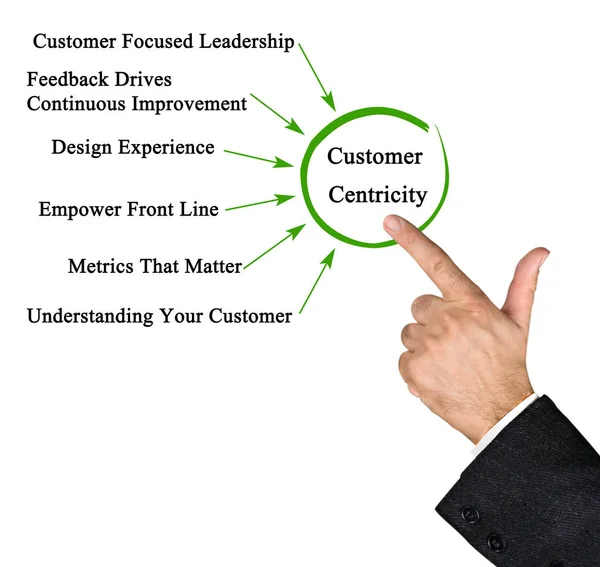 Driver Customer Centricity — Foto Stock