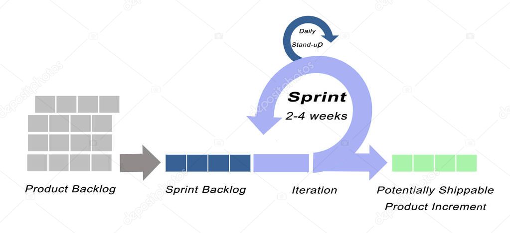 Components of SCRUM model	