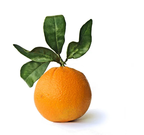 Laranja Isloated Fundo Branco — Fotografia de Stock