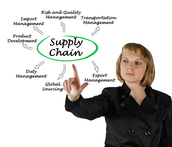 Presentazione Della Gestione Della Supply Chain — Foto Stock