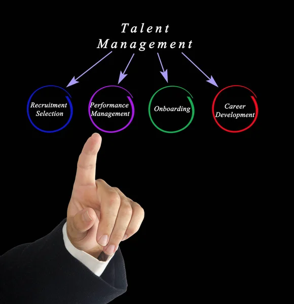 Диаграмма управления талантами — стоковое фото