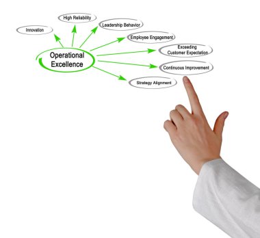 Operasyonel Mükemmellik sürücüleri