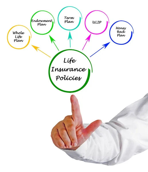Presenting Life Insurance Policies