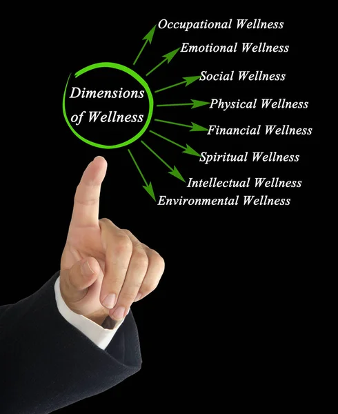 Eight Dimensions of Wellness — Stock Photo, Image