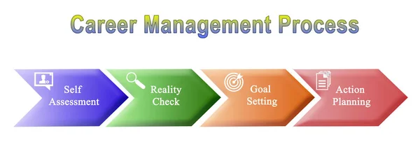 Steps in Career Management Process