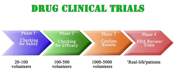 薬物臨床試験のステップ — ストック写真