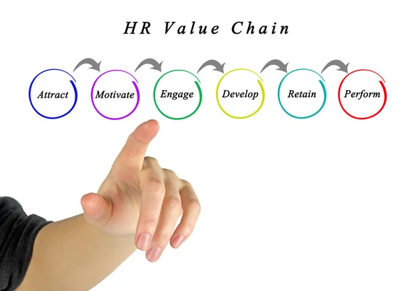 Presenting HR Value Chain