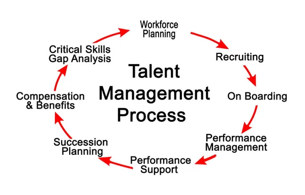 Components of Talent Management Process — Stock Photo, Image