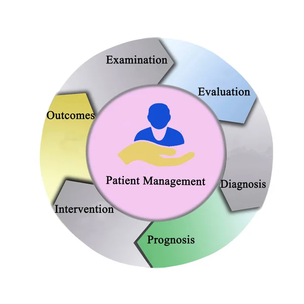 患者管理のプロセス — ストック写真