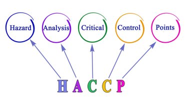 HACCP Düzenleme Gereksinimleri Diyagramı