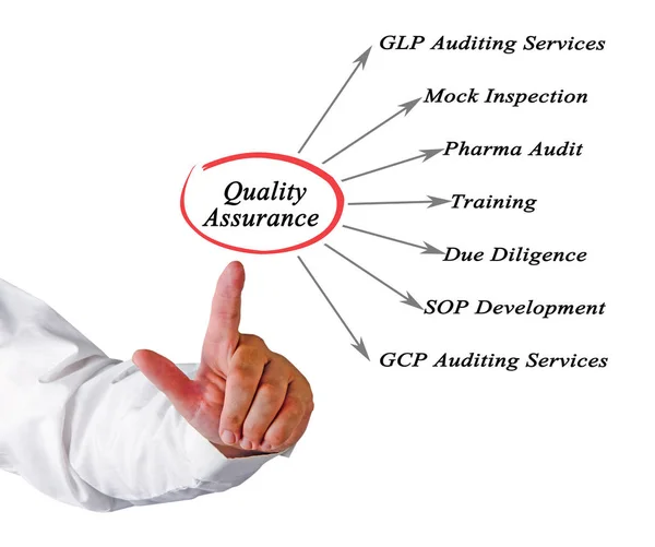 Diagrama de garantía de calidad —  Fotos de Stock
