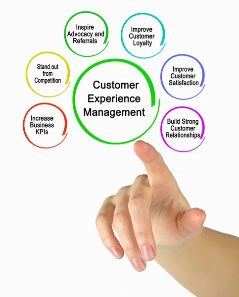 Komponen Manajemen Pengalaman Pelanggan — Stok Foto