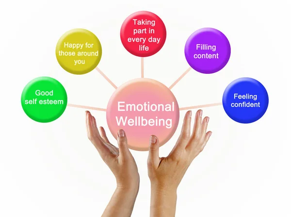 Drivers of Emotional Wellbeing — Stock Photo, Image