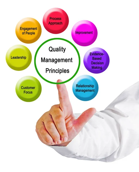 Sette principi di gestione della qualità — Foto Stock