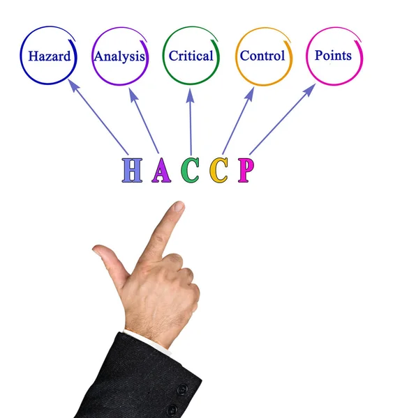 Schema dei requisiti normativi HACCP — Foto Stock