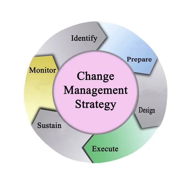 Components of Change Management Strategy