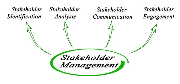 Komponenten des Stakeholder Managements — Stockfoto