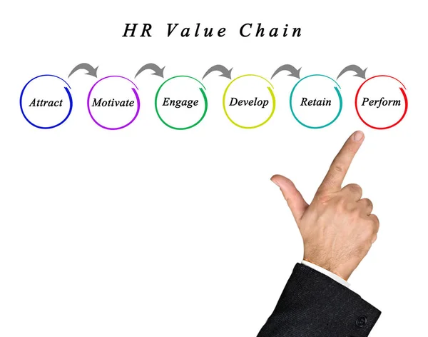 Presenting HR Value Chain