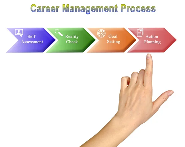 キャリアマネジメントプロセスの提示 — ストック写真