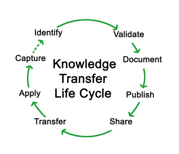 Lebenszyklus des Wissenstransfers — Stockfoto