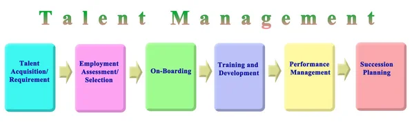 Components of Talent Management