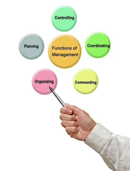 Presenting Functions of Management — Stock Photo, Image