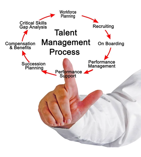 Presenting Talent Management Process — Stock Photo, Image