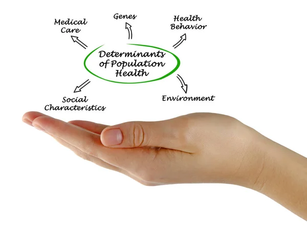 Determinanten van gezondheid van een bevolkingsgroep — Stockfoto