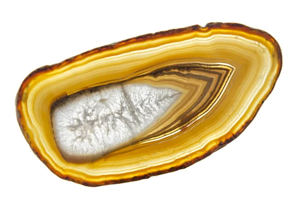 Close up of rock slice — Stock Photo, Image