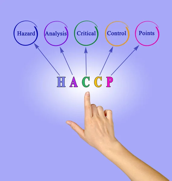 Diagram dari Persyaratan Pengaturan HACCP — Stok Foto