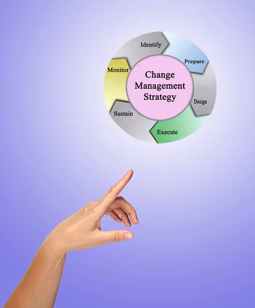 Präsentation der Change Management Strategie — Stockfoto