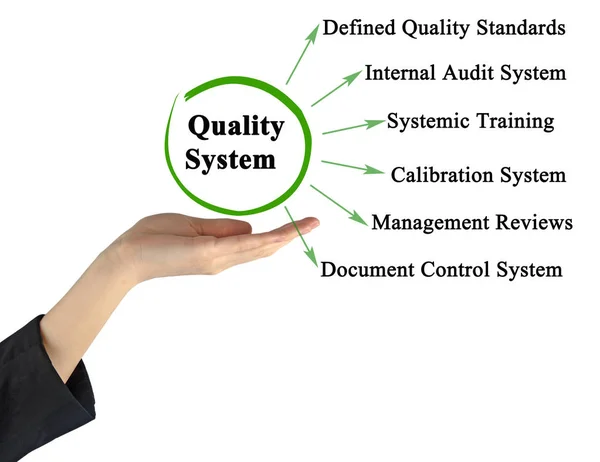 Seis componentes del sistema de calidad —  Fotos de Stock