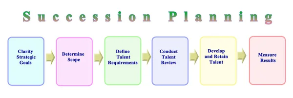 Seis componentes de la planificación de sucesiones — Foto de Stock