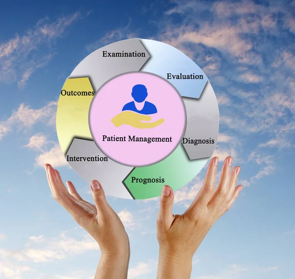 Presentazione del processo di gestione dei pazienti — Foto Stock