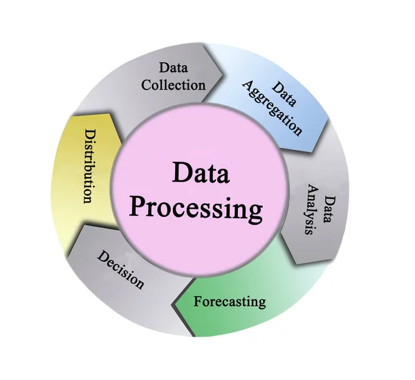 Cinco componentes del procesamiento de datos — Foto de Stock